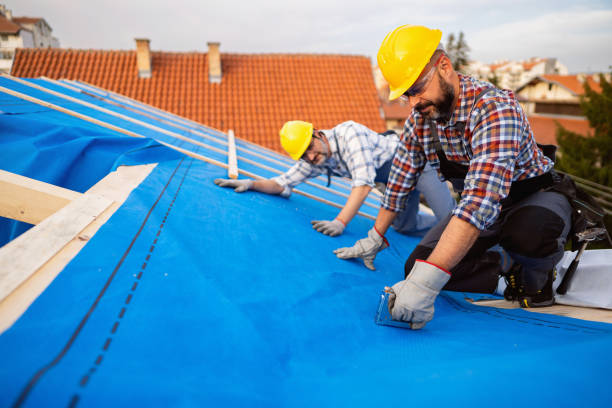 Best New Roof Installation  in Fort Recovery, OH